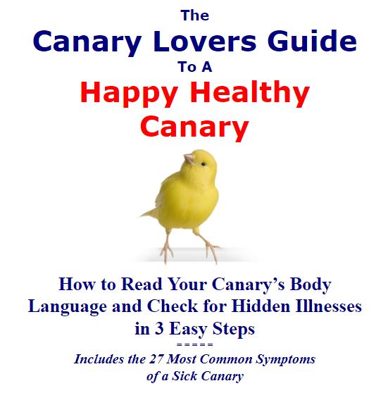 Canary Lovers Guide To A Happy Healthy Canary Ebook