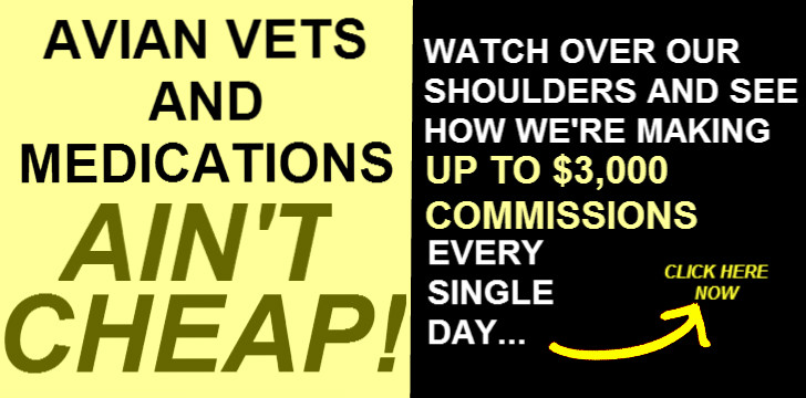 See How We're Earning Up To $3,000 Commissions.. Canary Disease Money