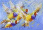 finch painting finch painting