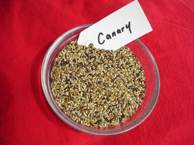 Canary Seed by Reed Seed Co.