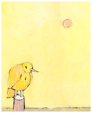 canary bird care. Canary by Orellano