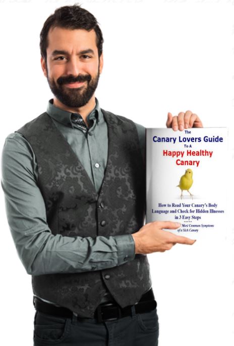 happy healthy ebook held beard