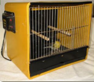 Hospital Cage for Canary Illness