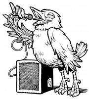 Loud Pet Canary Bird by Matthew Alice