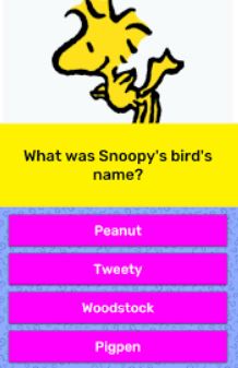 pet bird names