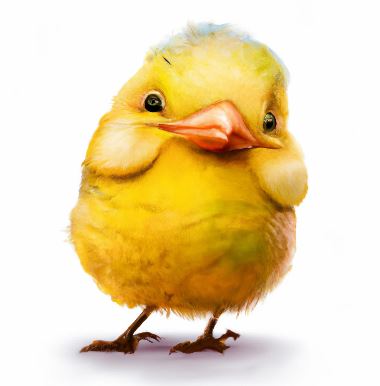 pet-canary-bird