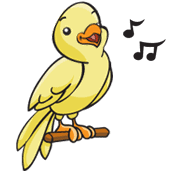 song canaries clip art