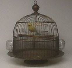 tiny-canary-bird-cage